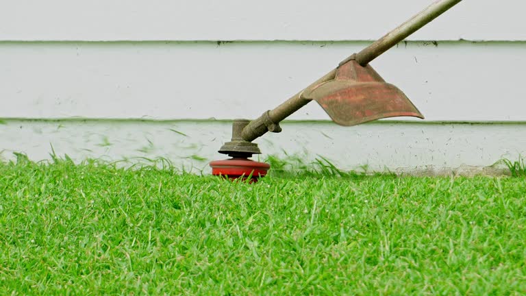 Soil Testing and Treatment in Orinda, CA